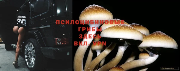 гашиш Алексин