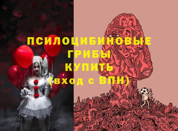 прущая мука Алзамай