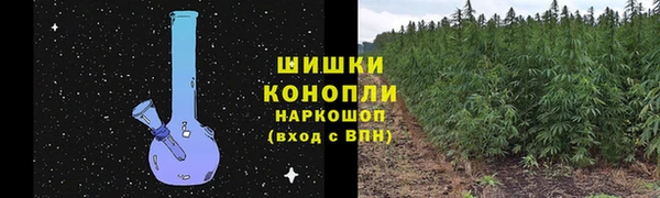 ПСИЛОЦИБИНОВЫЕ ГРИБЫ Алексеевка